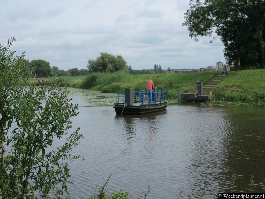 Met deze gratis voetveer kun je de Dommel oversteken om bij de Bossche Broek te komen. Je vaart  het veerbootje met behulp van een soort slinger. Het pontje ligt vlakbij het treinstation van Den Bosch bij de brug voor het Wilhelminaplein. Tip: Mooie wandelroutes bij Den Bosch.